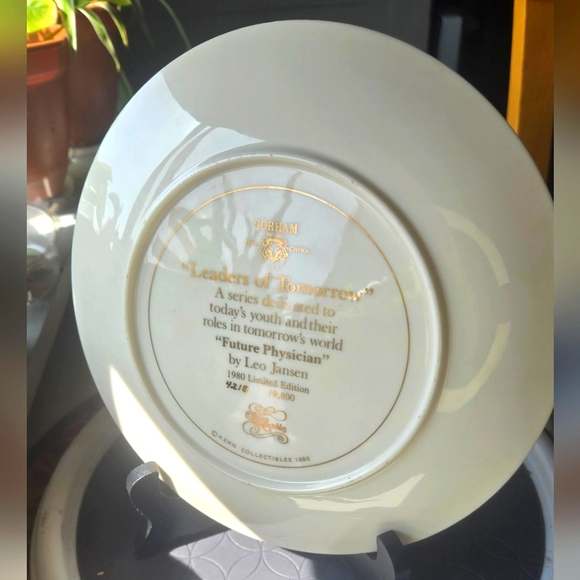 Gorham Leaders of Tomorrow Limited Edition Plate- Future Physician by Leo Jansen - Picture 5 of 5